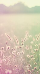 Serene Meadow Landscape: Pastel Flowers and Distant Mountains at Sunset