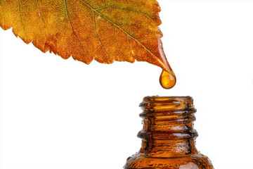 Essential oil dropping from fresh leaf to the bottle.