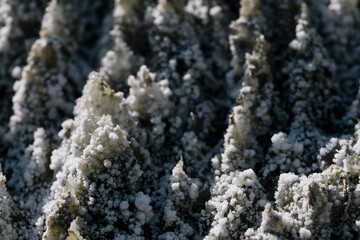 Salt mountain and formations, Praid, Romania. 