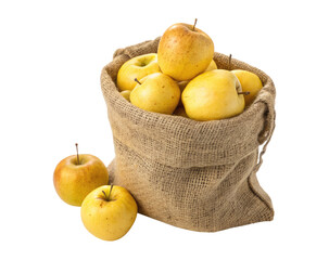 Fresh yellow apples in a burlap sack  isolated on a transparent background png