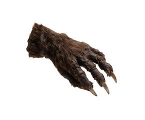A close-up shot reveals the textured brown fur and sharp claws of a monster foot.