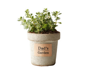 A small plant in a pot labeled "Dad's Garden," perfect for a father's day gift.