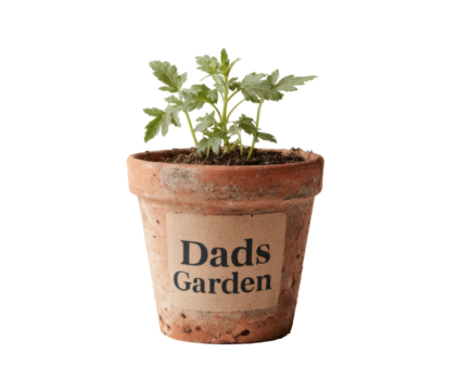A "Dads Garden" plant pot, symbolizing fatherhood and natural growth.