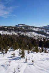View to Beskids on European Bialy Krzyz in Poland - vertical
