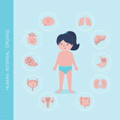 Little girl full length with icons of internal organs. Human body anatomy. Educational infographic for kids. Set of different organs and systems. Anatomical structure.
