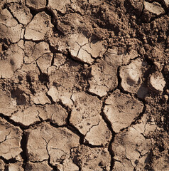 Fototapeta premium Brown soil background, top view of cracked desert soil. drought soil, texture, natural ground for garden or farm use.