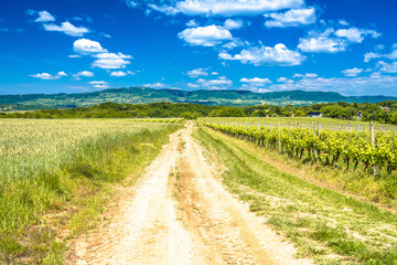 Kalnik, Croatia. Country road through agricultural landscape of Prigorje