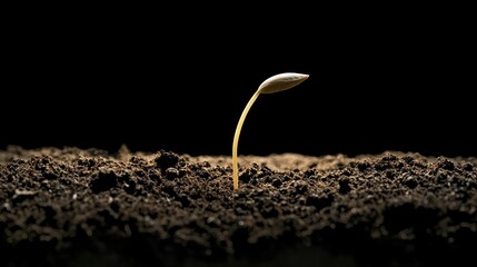 A seed being planted in soil, representing the metaphorical and literal act of something being implanted