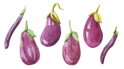 Watercolor Eggplant Vegetables Illustration Set
