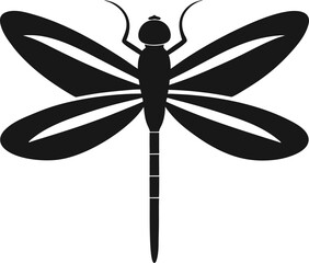 dragonfly vector illustration
