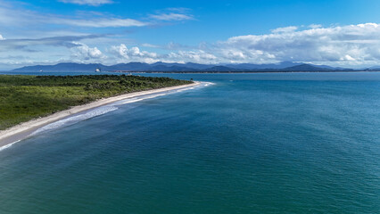 Exotic Wildlife and Rare Birds in Brazil’s Natural Habitat