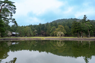  世界遺産 平泉 毛越寺 開山堂と大泉が池　岩手県平泉町