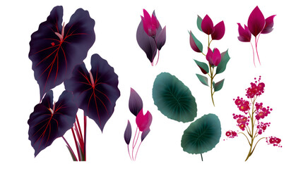 A set of vector illustrations on a white background, paintings of exotic flowers isolated on white background 