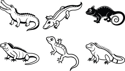 Striated Emerald Lizard
