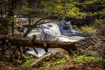 Waterfall in Wartburg Tennessee