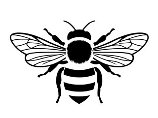 vector illustration of a bee