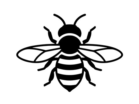 vector illustration of a bee
