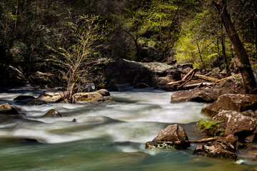 A slow shutter image of a river after a heavy rain shows the beauty and intricate details of a remote wilderness.