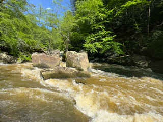 Flood water fills ravine