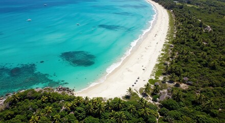 Obraz premium Stunning ocean views with a clear sky and shoreline bordered by lush greenery