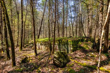 Beautiful rock formtion in Tennessee