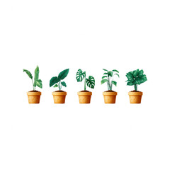 Obraz premium A collection of five decorative potted plants, showcasing vibrant green leaves and unique shapes, perfect for indoor decor or garden inspiration, isolated on a white background.