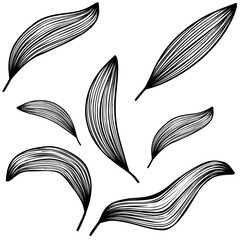 Botanical Leaf Line Art Vector Illustration – Modern Minimal Plant Drawing for Nature Posters, Elegant Decoration, Tattoo Flash, and Organic Branding