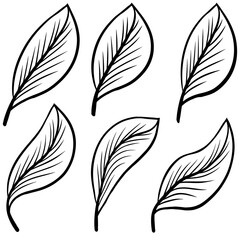 Elegant Plant Leaf Line Drawing Vector – Minimalist Botanical Outline Illustration for Nature Decoration, Tattoo Design, Wall Art, and Organic Packaging
