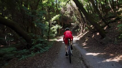 Cyclist riding through sunlit forest trail in summer adventure. Biking, fitness, healthy lifestyle