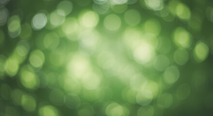 Obraz premium A soft green blur abstract background of bokeh circles, light, and bright hues