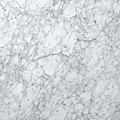 Obraz premium White marble surface with intricate veining (2)