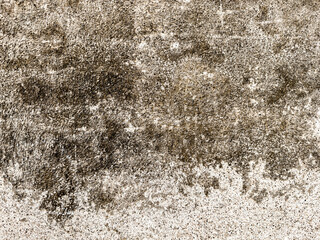 High Resolution on Cement texture for pattern and background