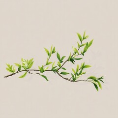 Delicate branch with fresh spring leaves against a light background.