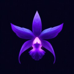 Vibrant, glowing purple orchid blossom against a dark background.