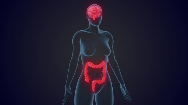 Irritable Bowel Syndrome Triggered by Prolonged Emotional and Mental Stress