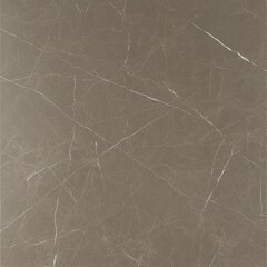 Light taupe marble-look surface with veining