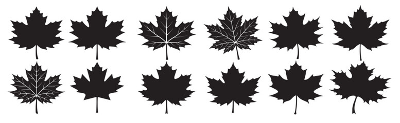 maple leaf silhouette bundle maple leaf silhouette vector