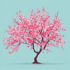 Obraz premium Vibrant pink cherry blossom tree against a pale teal background.