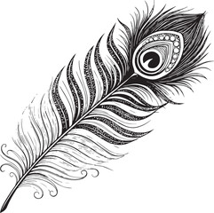 Obraz premium peacock feather vector illustration