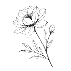 Obraz premium black and white flower vector