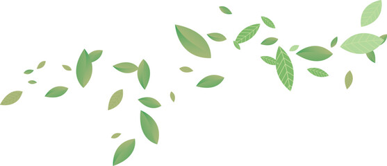 Obraz premium Green Floating Leaves Flying foliage ornament. Vegan, eco,