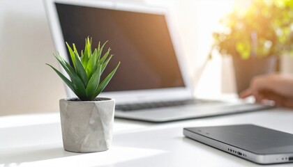 startup entrepreneur concept a small plant in a pot on a desk near a laptop in bright natural light