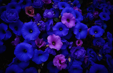 Dense vibrant flowers in blues, purples, and pinks, dreamy light.