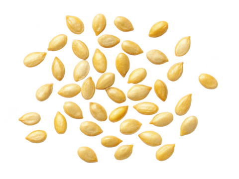 lemon seeds white background close-up citrus seeds extracted from lemon fruit natural plant seed healthy nutrition gardening transparent background image