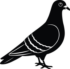 Pigeon silhouette isolated on transparent background