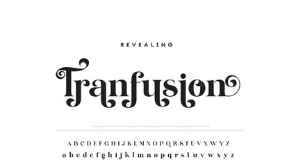 Luxury alphabet letters font and number. Typography elegant wedding classic lettering serif fonts decorative vintage retro concept. vector illustration