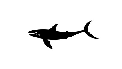 vector silhouette of a shark