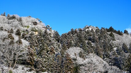 冬の山寺
