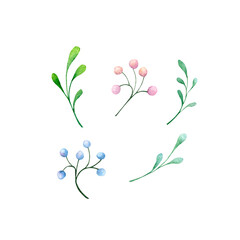 Set of floral elements