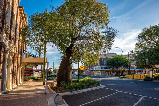 Historic Town Center Street View with Large Bottle Tree and Pedestrian Sidewalk in Afternoon Light, Roma, Australia, 29 November 2020